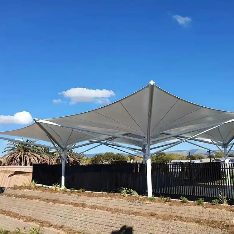 杜尔伯特工程案例