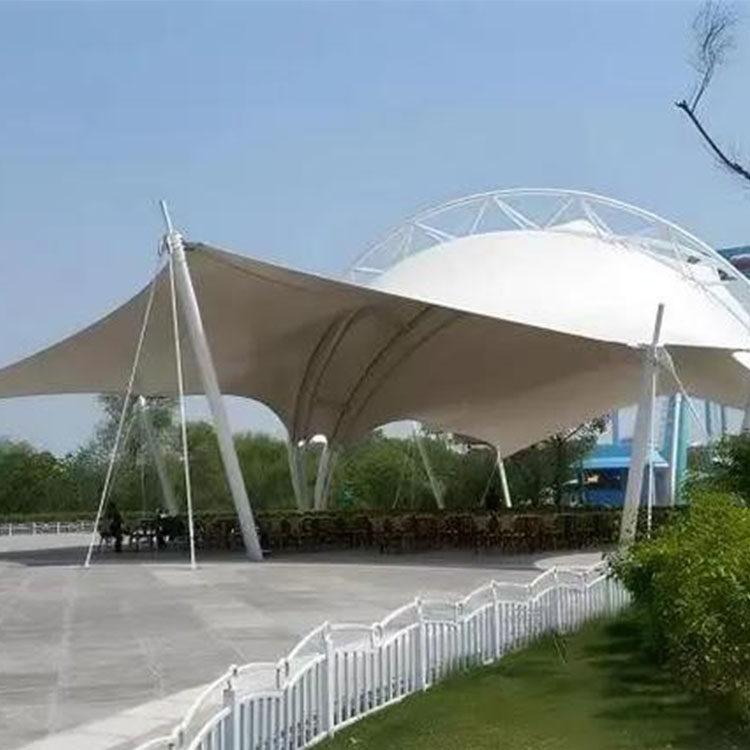 杜尔伯特工程案例