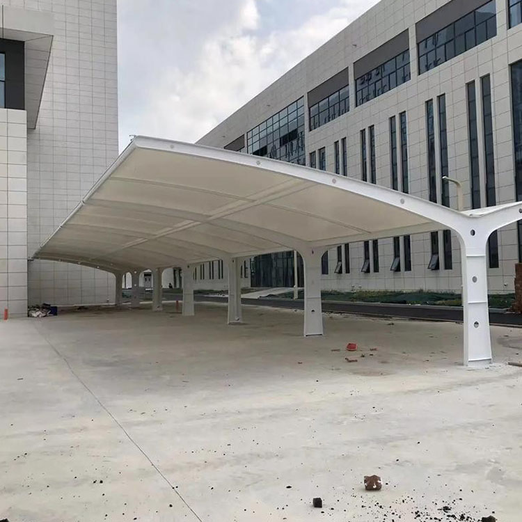 杜尔伯特工程案例