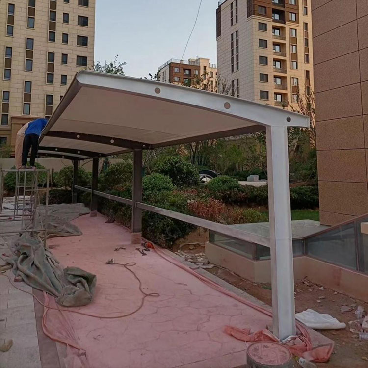 杜尔伯特工程案例